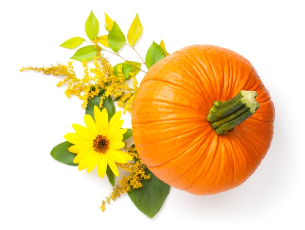autumn composition with pumpkin isolated on
