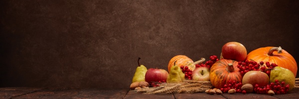 thanksgiving extra wide panorama banner background