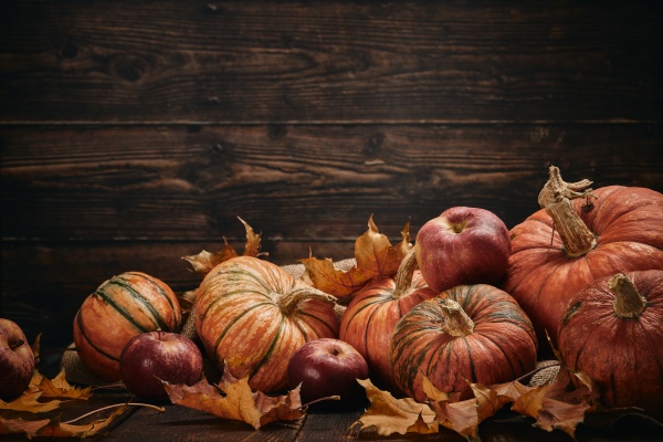 thanksgiving, background, , autumn, harvest - 28848263