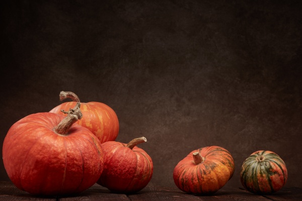 thanksgiving, background, , autumn, harvest - 28848271
