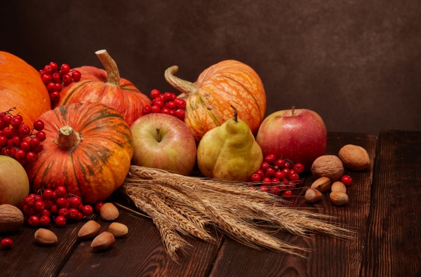 thanksgiving, background, , autumn, harvest - 28848275