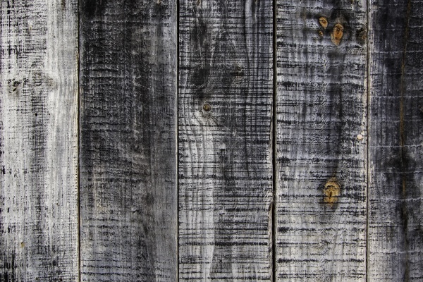 spoiled gray wood background