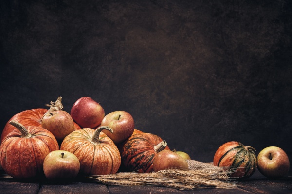 thanksgiving, background, , autumn, harvest - 28881455