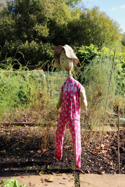 funny scarecrow in an allotment