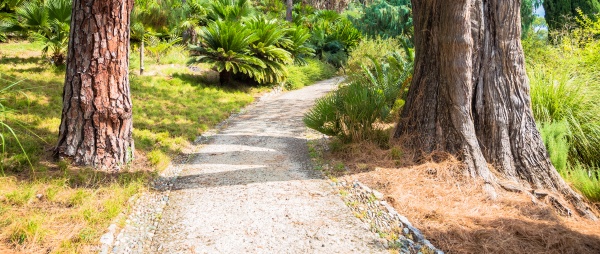 peaceful pathway in botanical garden