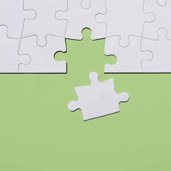 last puzzle piece in jigsaw puzzle