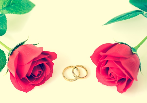 red roses and gold rings on