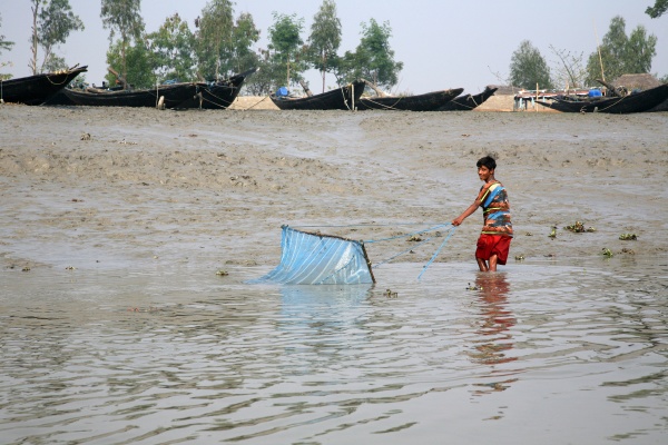 fisherman uses fishing net in a