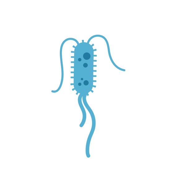 virus and bacteria icon vector illustration
