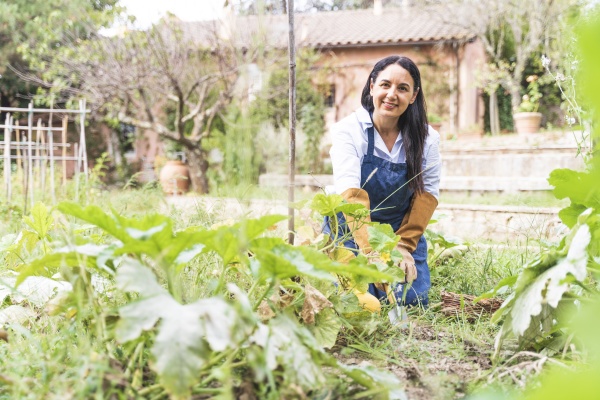 smiling mature woman kneeling while harvesting