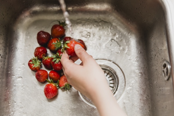 hand washing strawberries in a sink