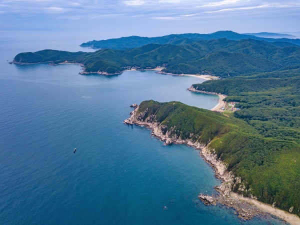 aerial view of forested coastal cliffs
