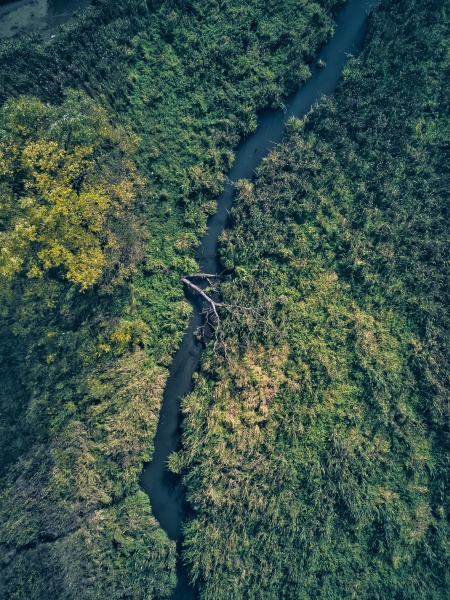 stream flowing through green landscape