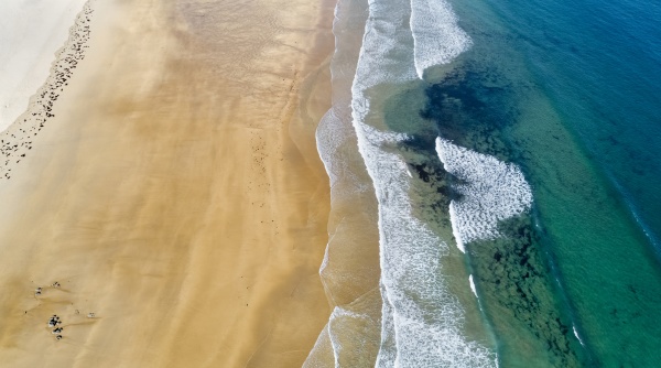 aerial view of edge of sandy