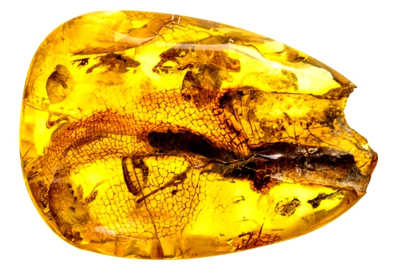 amber stone in a closeup