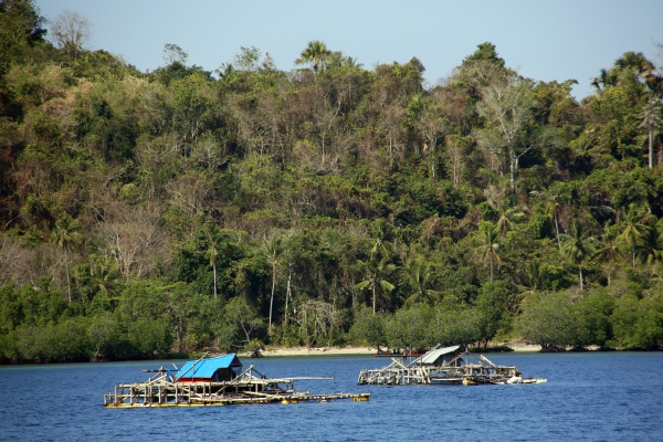 fishing raft with hut off bangka
