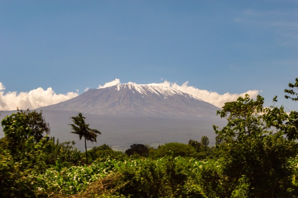 snow capped kenya s kilimanjaro mountain