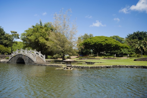 footbridge over a pond in a