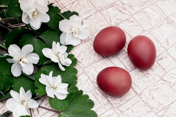 three red easter eggs and blooming