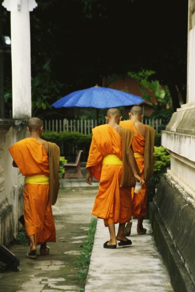rear view of buddhist monks walking