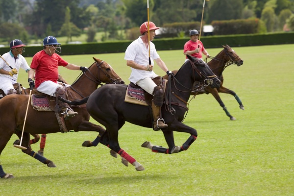 four polo players playing polo