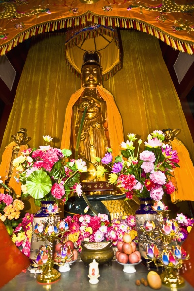 Media-id 29604822