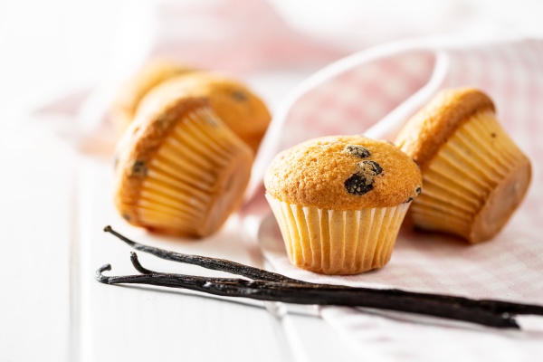 vanilla muffins sweet cupcakes and