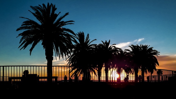 sunset silhouette coastal scene montevideo uruguay
