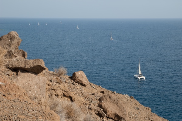 sailing regatta in the coast of