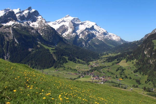 spring in the bernese oberland