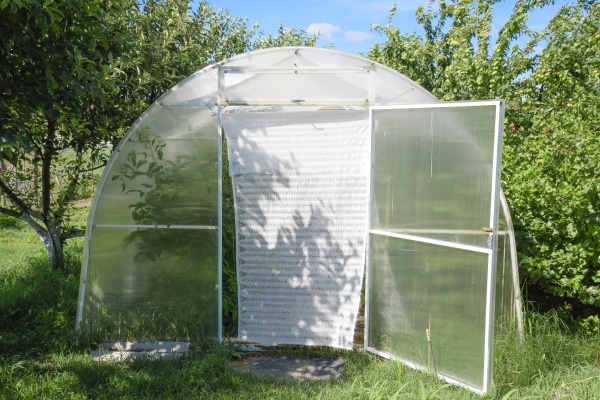 greenhouse polycarbonate in a private garden