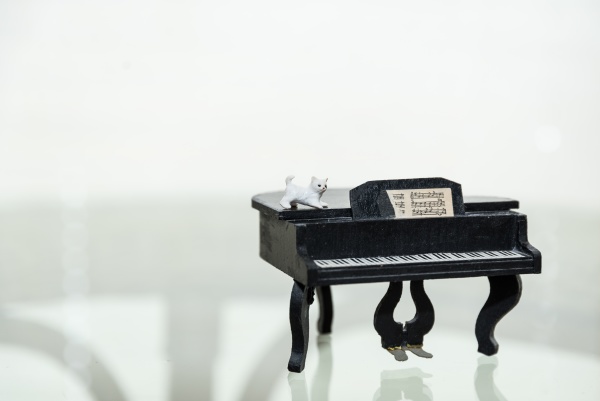 cat at the piano