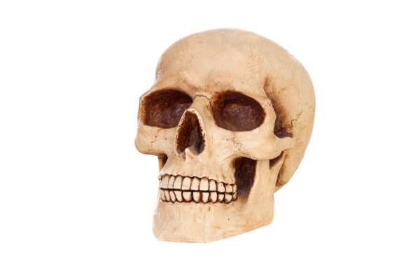 creepy human skull