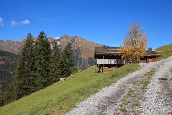 rural autumn scene near gstaad