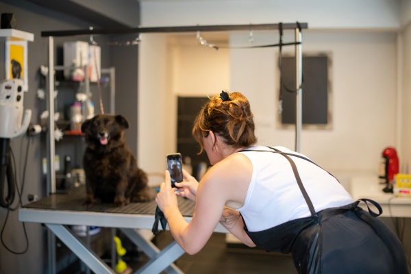pet hairdresser woman taking pictures of