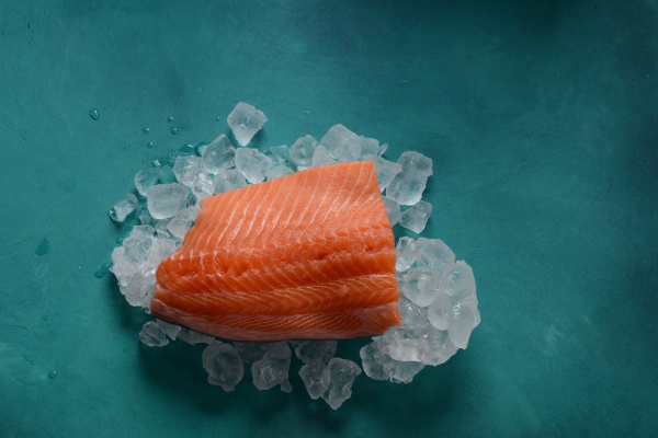 raw salmon fillet on ice background