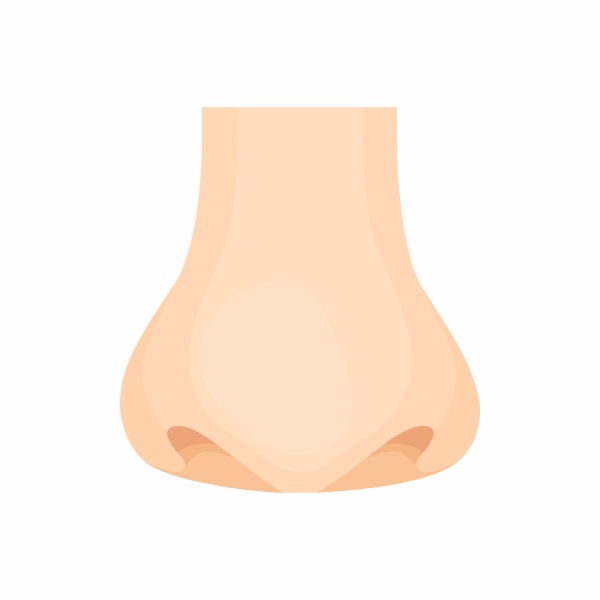 human nose icon in cartoon style