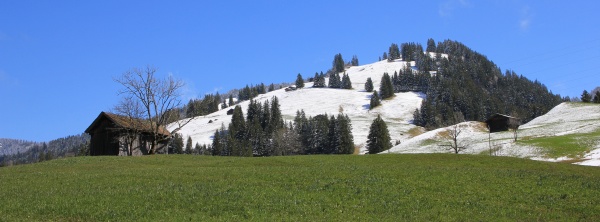 green meadow and snow covered hill