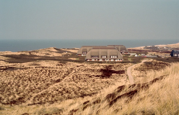 beach and dunes of sylt