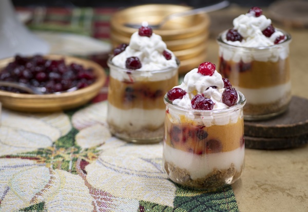 christmas pumpkin and cranberry mousse