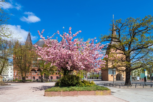 springtime with historical buildings in the