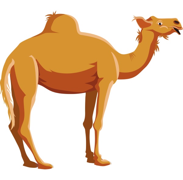 camel icon in cartoon style
