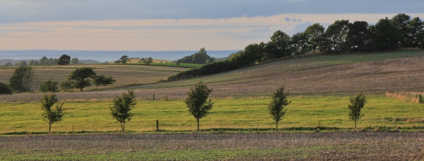 striped landscape in zealand denmark