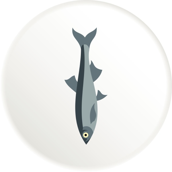 herring icon flat style