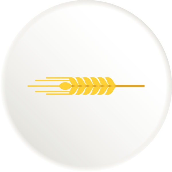spikelet of wheat icon flat