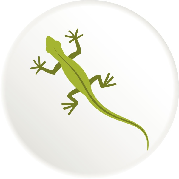 lizard icon flat style
