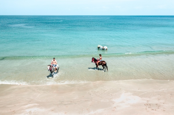 aerial view of people riding horses