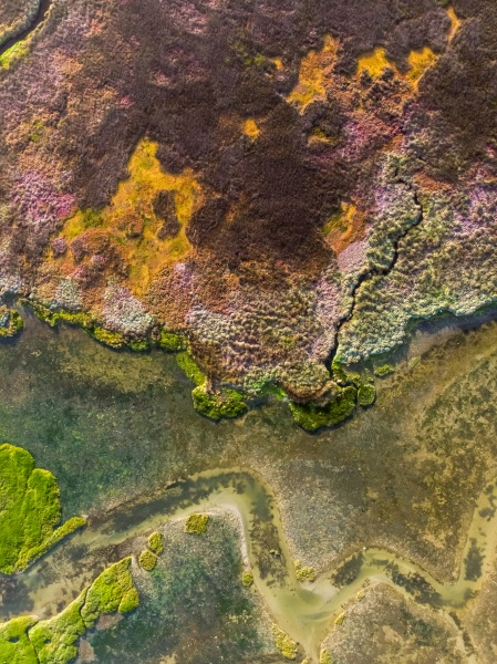 aerial view of velddrift wetland colourful