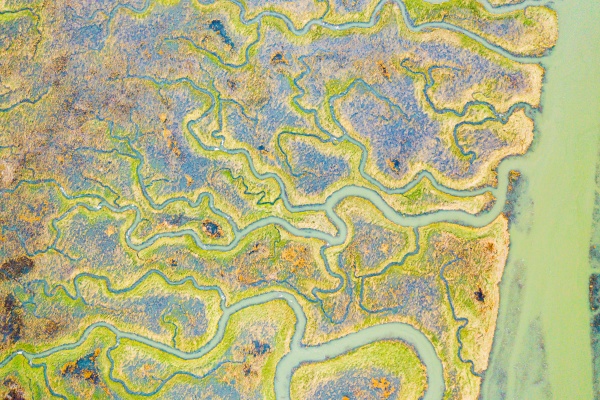 aerial view of the abstract pattern