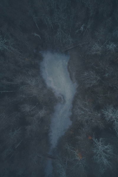 aerial view of the misty forest